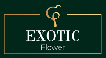 exotik flover